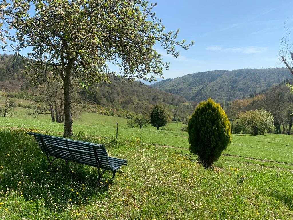 Vue sur la vallée et petit banc sous un arbre